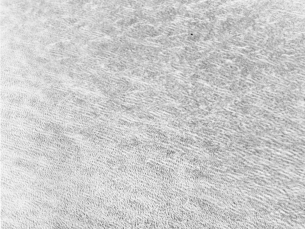 Schwarzweiss Bild eines Felsen als Symbol für Ernährungsthemen im Polarity